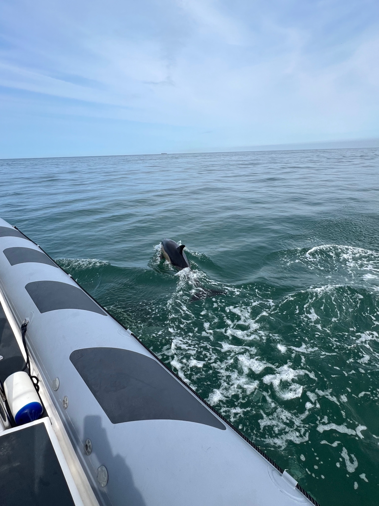 Che Rib Tour Discover Why a RIB Tour is Perfect in November & December